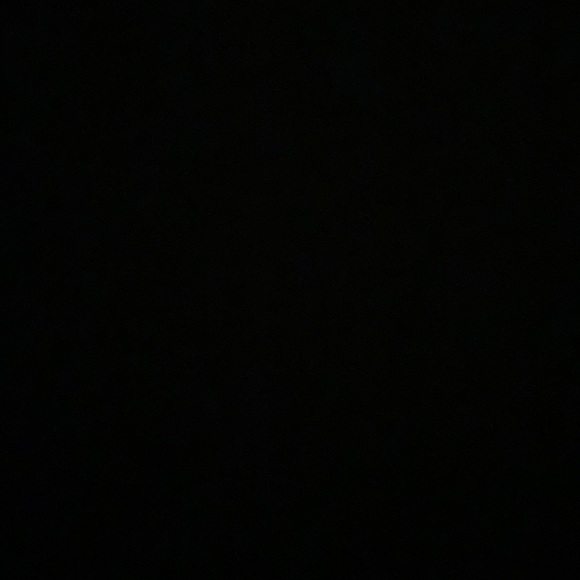 Meet your Posher, Bailey - Picture 1 of 1